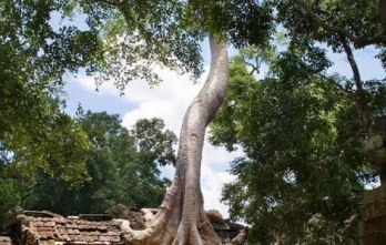 Tour du lịch Đền Angkor Wat
